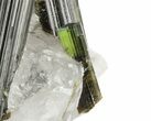 Beautiful, Green Tourmaline Crystals in Quartz - Pakistan #45916-1